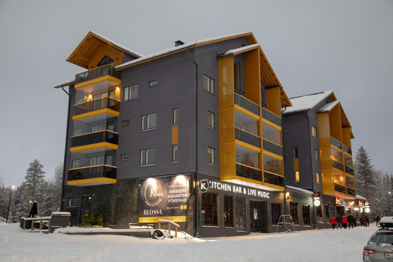 Levin Kunkku B2 Apartment Grey Buitenkant foto